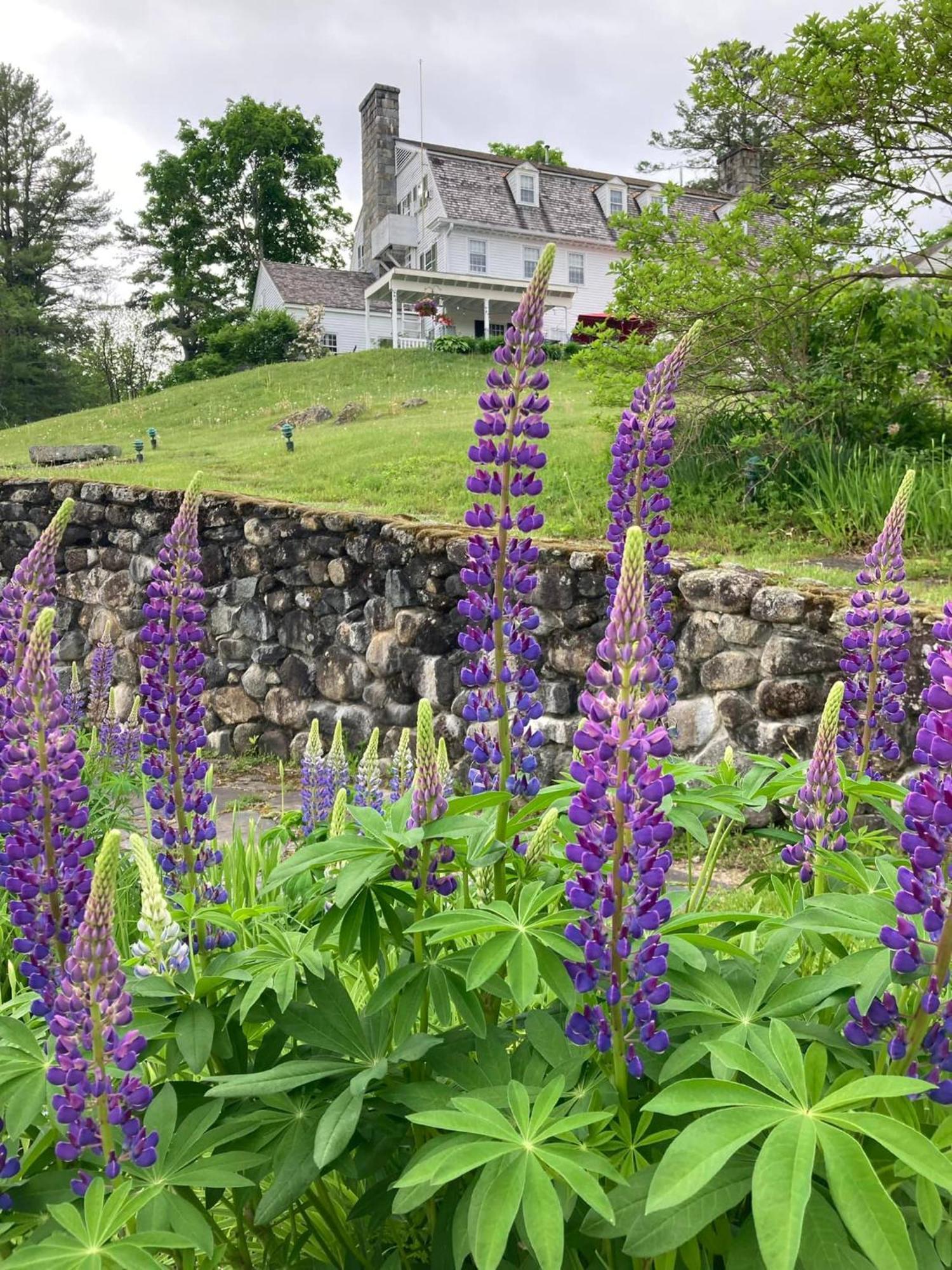 Adair Country Inn & Restaurant Bethlehem Eksteriør bilde